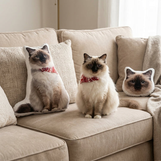 Custom Pet Shaped Pillow That Looks Like Your Pet