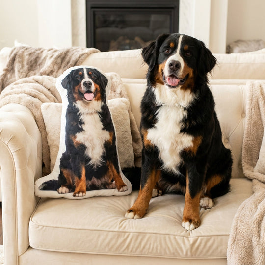Custom Dog Pillow From Picture High Quality