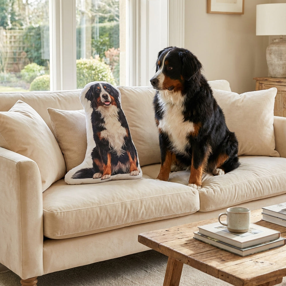 Custom Dog Pillow From Picture High Quality