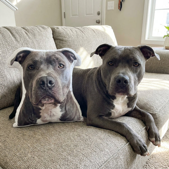 Custom Dog Pillow From Photo Best Memorial Gift For Dog Owners