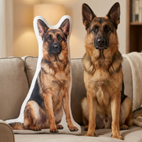 Pet pillow
