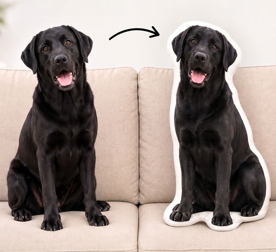 Custom Pet Pillow That Looks Like Your Pet