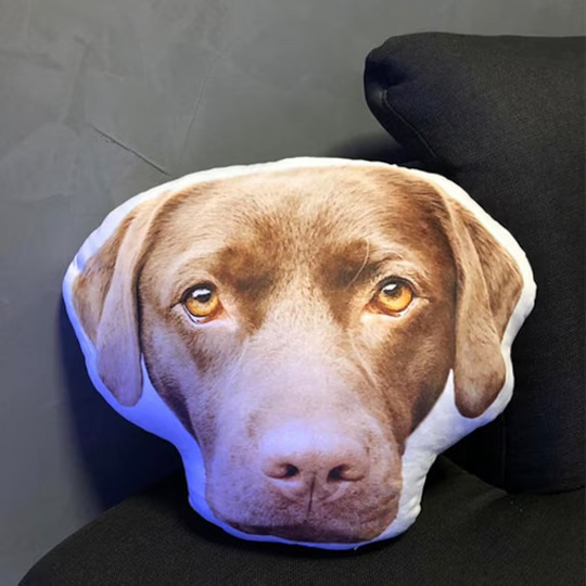 Custom Dog Face Pillow from Your Pet Photo