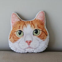 Pet pillow